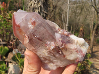 Natural Red Hematoid Quartz Specimens x 3 From Karoi, Zimbabwe