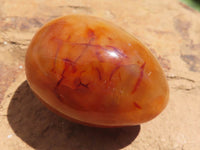 Polished Carnelian Agate Gemstone Eggs x 12 From Madagascar - TopRock