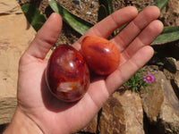 Polished Carnelian Agate Gemstone Eggs x 12 From Madagascar - TopRock