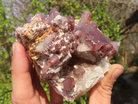 Natural Red Hematoid Quartz Specimens x 3 From Karoi, Zimbabwe