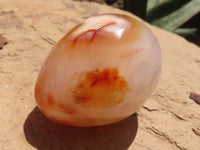 Polished Carnelian Agate Gemstone Eggs x 12 From Madagascar - TopRock