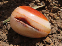 Polished Carnelian Agate Gemstone Eggs x 12 From Madagascar - TopRock