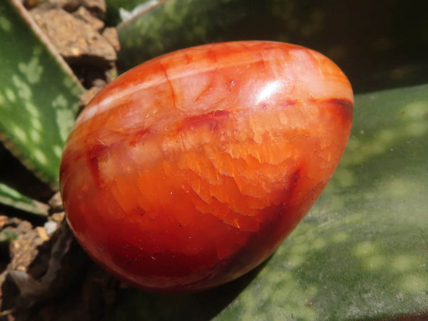 Polished Carnelian Agate Gemstone Eggs x 12 From Madagascar - TopRock