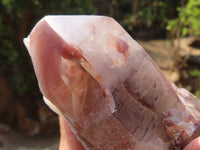 Natural Red Hematoid Quartz Specimens x 3 From Karoi, Zimbabwe