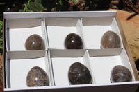 Polished Smokey Quartz Eggs x 6 From Madagascar - TopRock