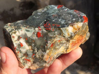 Natural Rough Bloodstone Specimens  x 12 From Swaziland