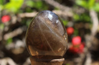 Polished Smokey Quartz Eggs x 6 From Madagascar - TopRock