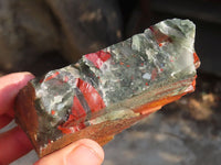 Natural Rough Bloodstone Specimens  x 12 From Swaziland