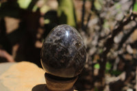 Polished Smokey Quartz Eggs x 6 From Madagascar - TopRock