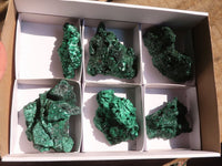 Natural Chatoyant Silky Malachite Specimens  x 6 From Kasompe, Congo