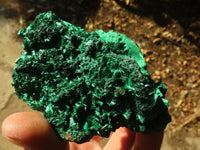 Natural Chatoyant Silky Malachite Specimens  x 6 From Kasompe, Congo