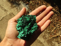 Natural Chatoyant Silky Malachite Specimens  x 6 From Kasompe, Congo