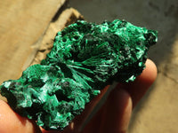 Natural Chatoyant Silky Malachite Specimens  x 6 From Kasompe, Congo