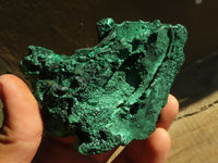 Natural Chatoyant Silky Malachite Specimens  x 6 From Kasompe, Congo