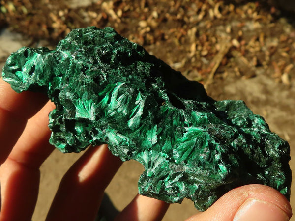 Natural Chatoyant Silky Malachite Specimens  x 6 From Kasompe, Congo