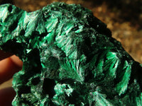 Natural Chatoyant Silky Malachite Specimens  x 6 From Kasompe, Congo