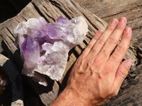 Natural Jacaranda Amethyst Cluster  x 1 From Zambia - Toprock Gemstones and Minerals 