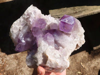 Natural Jacaranda Amethyst Cluster  x 1 From Zambia - Toprock Gemstones and Minerals 