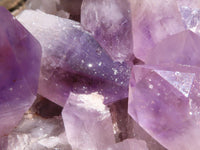 Natural Jacaranda Amethyst Cluster  x 1 From Zambia - Toprock Gemstones and Minerals 