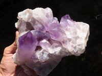 Natural Jacaranda Amethyst Cluster  x 1 From Zambia - Toprock Gemstones and Minerals 