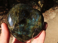 Polished  Puffy Labradorite Gemstone Hearts  x 2 From Tulear, Madagascar