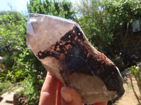 Polished Large Morion Smokey Quartz Crystals  x 2 From Mulanje, Malawi - TopRock