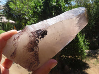 Polished Large Morion Smokey Quartz Crystals  x 2 From Mulanje, Malawi - TopRock