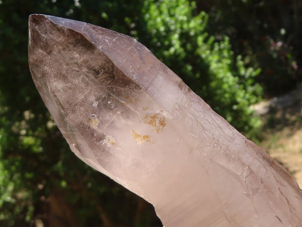 Polished Large Morion Smokey Quartz Crystals  x 2 From Mulanje, Malawi - TopRock