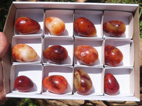 Polished Carnelian Agate Gemstone Eggs x 12 From Madagascar - TopRock