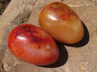 Polished Carnelian Agate Gemstone Eggs x 12 From Madagascar - TopRock