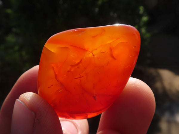 Polished  Carnelian Agate Tumble Stones  x 1 Kg Lot From Madagascar