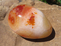 Polished Carnelian Agate Gemstone Eggs x 12 From Madagascar - TopRock