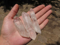 Natural Single Clear Quartz Crystals  x 41 From Madagascar - TopRock