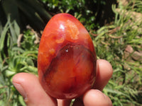 Polished Carnelian Agate Gemstone Eggs x 12 From Madagascar - TopRock