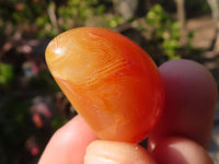 Polished  Carnelian Agate Tumble Stones  x 1 Kg Lot From Madagascar