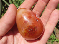 Polished Carnelian Agate Gemstone Eggs x 12 From Madagascar - TopRock