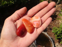 Polished  Carnelian Agate Tumble Stones  x 1 Kg Lot From Madagascar