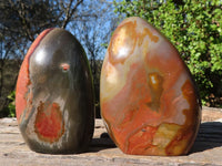 Polished Polychrome / Picasso Jasper Standing Free Forms  x 2 From Madagascar - Toprock Gemstones and Minerals 