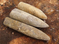 Natural Selected Belemnite Fossil "Bullets" x 42 From Maintirano, Madagascar - TopRock