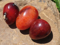 Polished Carnelian Agate Gemstone Eggs x 12 From Madagascar - TopRock