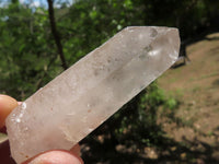 Natural Single Clear Quartz Crystals  x 41 From Madagascar - TopRock