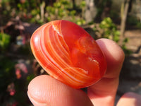 Polished  Carnelian Agate Tumble Stones  x 1 Kg Lot From Madagascar