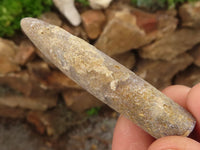 Natural Selected Belemnite Fossil "Bullets" x 42 From Maintirano, Madagascar - TopRock