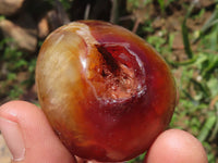 Polished Carnelian Agate Gemstone Eggs x 12 From Madagascar - TopRock