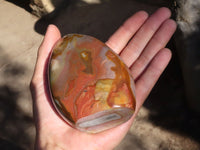 Polished Polychrome / Picasso Jasper Standing Free Forms  x 2 From Madagascar - Toprock Gemstones and Minerals 