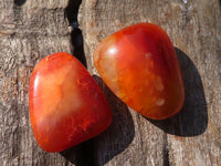 Polished  Carnelian Agate Tumble Stones  x 1 Kg Lot From Madagascar