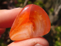 Polished  Carnelian Agate Tumble Stones  x 1 Kg Lot From Madagascar