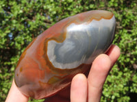 Polished Polychrome / Picasso Jasper Standing Free Forms  x 2 From Madagascar - Toprock Gemstones and Minerals 