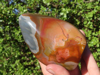 Polished Polychrome / Picasso Jasper Standing Free Forms  x 2 From Madagascar - Toprock Gemstones and Minerals 