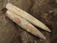 Natural Selected Belemnite Fossil "Bullets" x 42 From Maintirano, Madagascar - TopRock